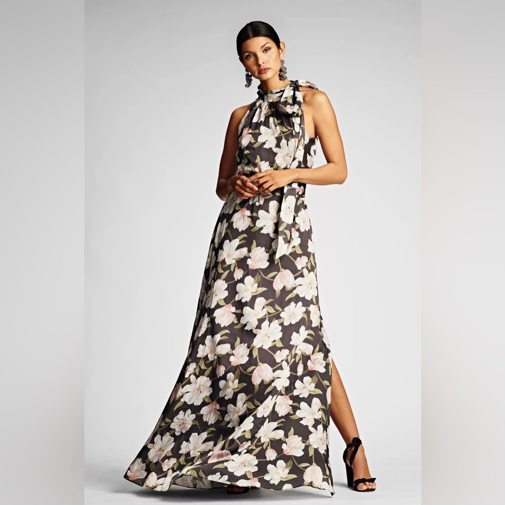 Sachin + Babi dress size 2/4 NWT